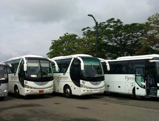 Buses y busetas para transporte en cali